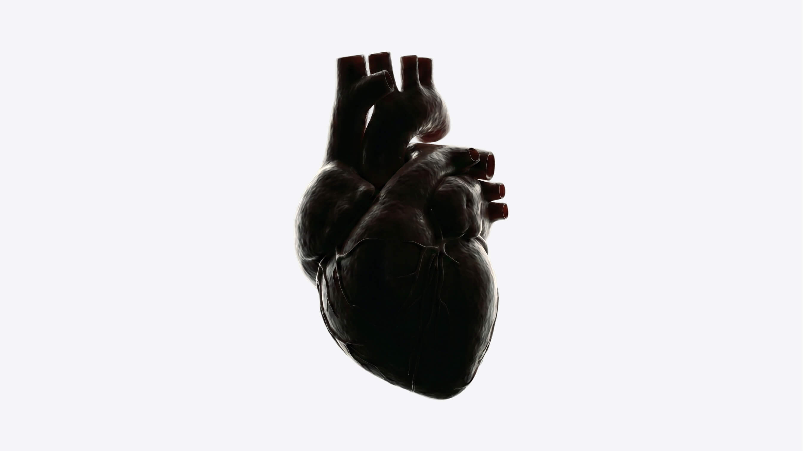 Heart health and vascular risk